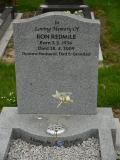 image of grave number 268783